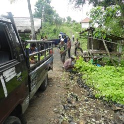 Activity in Nusa Penida